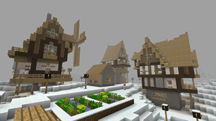 Custom Village