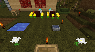 Botania Magic