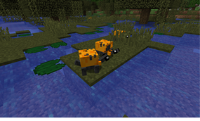 Hoi turtles