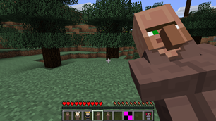 Villager