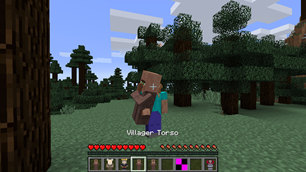 Villager Torso