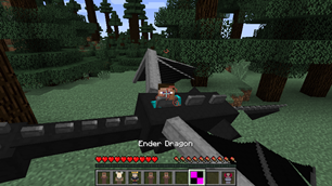 Ender Dragon