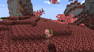 OverWorld Nether Biome