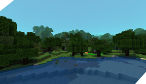 Environment