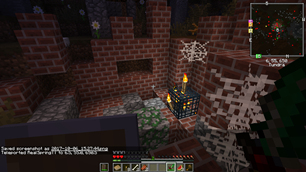 Spider Dungeons