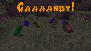Caaaandy!
