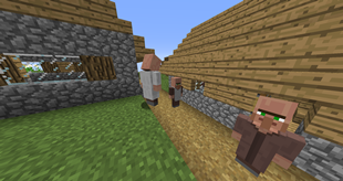 Villagers in their wild biome