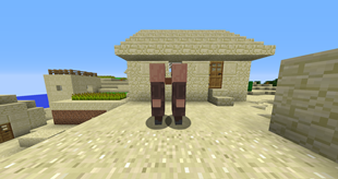 Some villager love