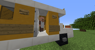 A villager in a bus