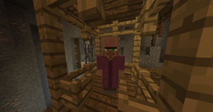 A villager in a mine elevator