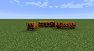 Pumpkin faces