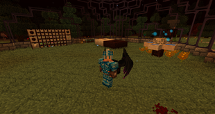 Botania
