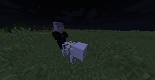 Plague Doctor and Skeleton Pig