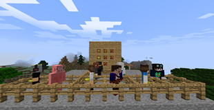 Mod Image