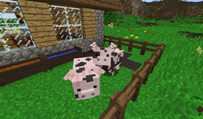 Piggies enjoying a mudbath.