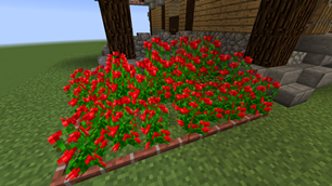 Flower Bed