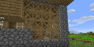 Types Scaffolding