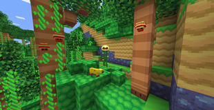 Jungle