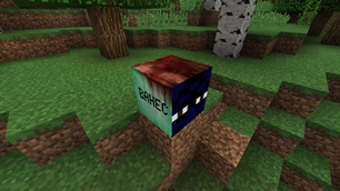 BAHEC 13