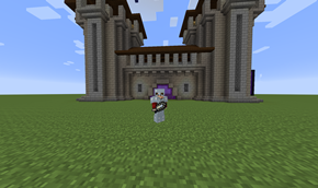 Armor