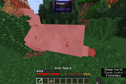 Dynamic Surroundings Damage indicators