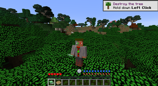 Survival begin