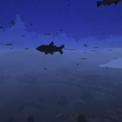 Under The Sea