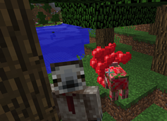 A Sloth