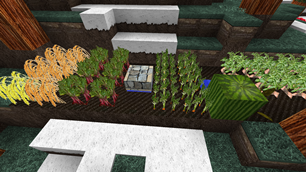 Crops