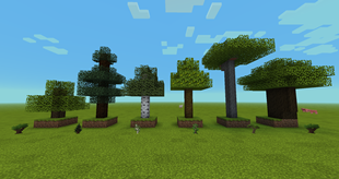 Trees & Saplings