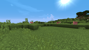 Plains
