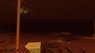 Nether