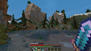 Custom Forest