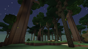Twilight Forest