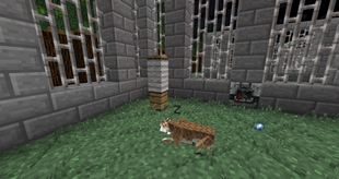 Smilodon