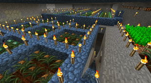 MagicCrops started