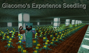 Experience Seedling