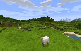 Fields