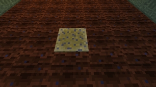 A wet sponge in the middle of a 9x9 farmland field.