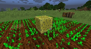 A wet sponge 1 block above farmland field.