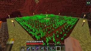 A cultivation in the Nether
