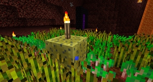 A cultivation in the Nether