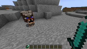 A DireWolf