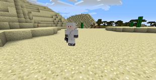 shin clone
