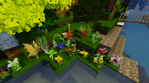 Fancy Plants