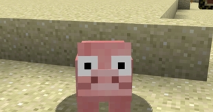 Pig in 0.2_01