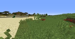 Double Tall Grass in 0.2_01