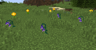 Dayblooms and Nightshades