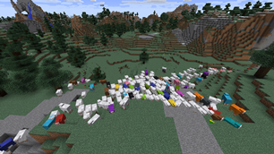 Sheep!