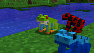 Frogs!